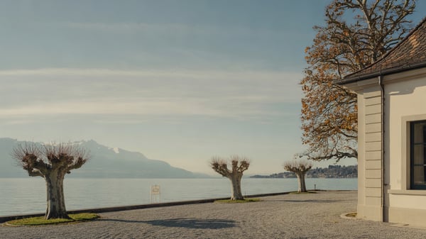 Maison de maître am Genfersee mit Kiesvorplatz und Platanen